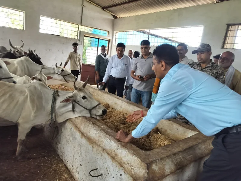 एक माह के भीतर सड़कों पर बैठने, अथवा विचरण करने वाले गौवंश को गौशालाओं में पहुंचाकर सुरक्षित एवं संरक्षित…