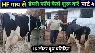 HF गाय से डेयरी फॉर्म में क्या सावधानी होनी चाहिए 781 farming